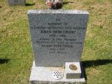 image of grave number 244654